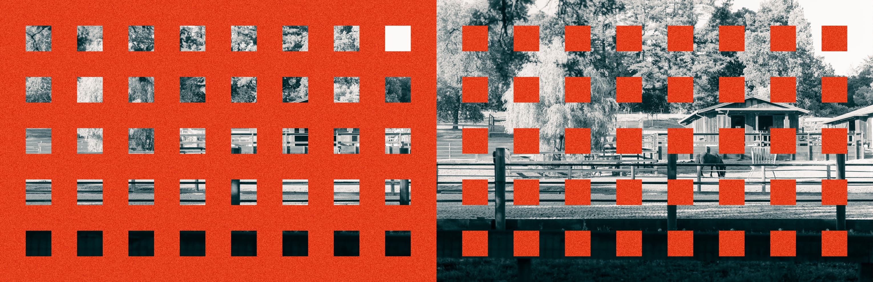 Spread 3