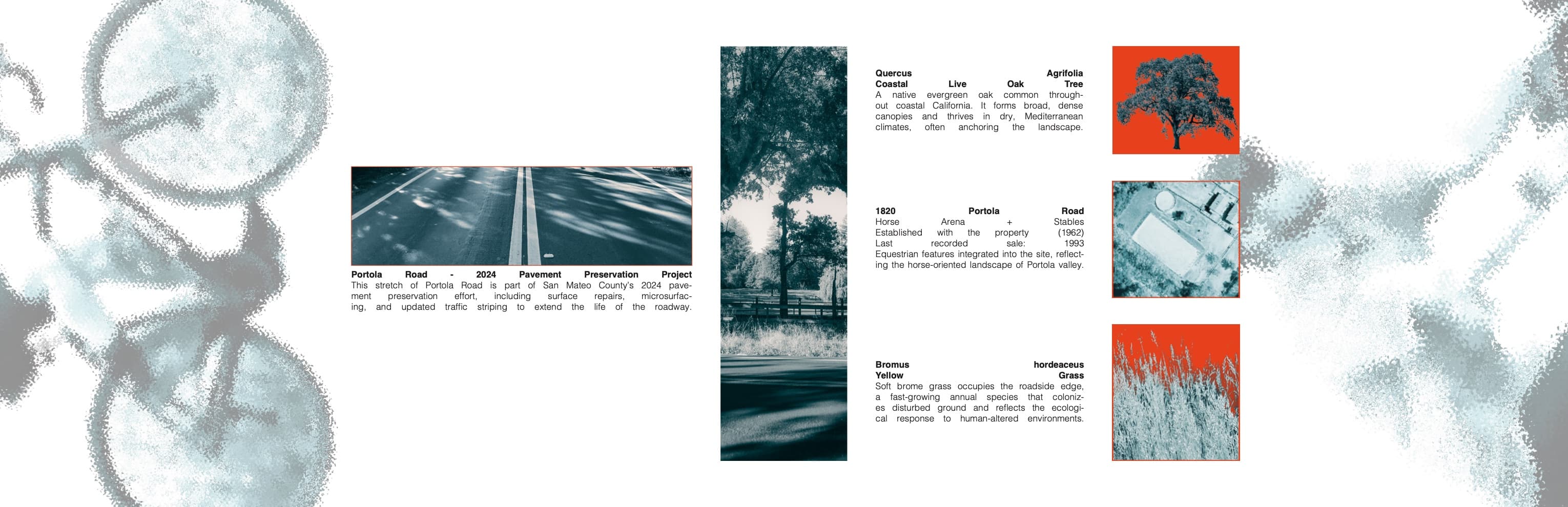 Spread 4