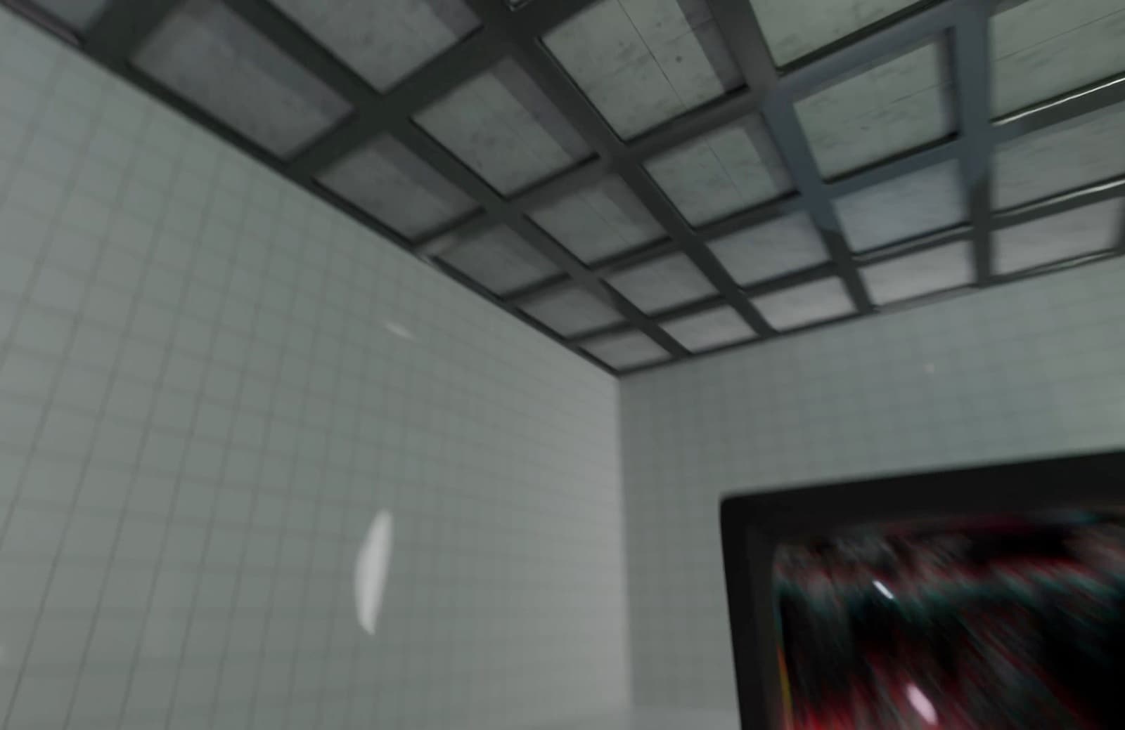 Ciridae Launch Video