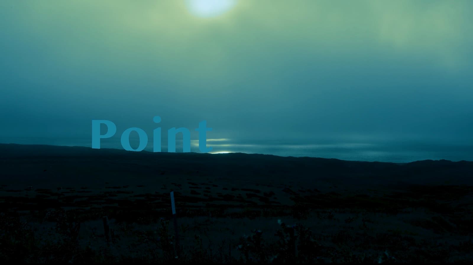 Rainy Point Reyes